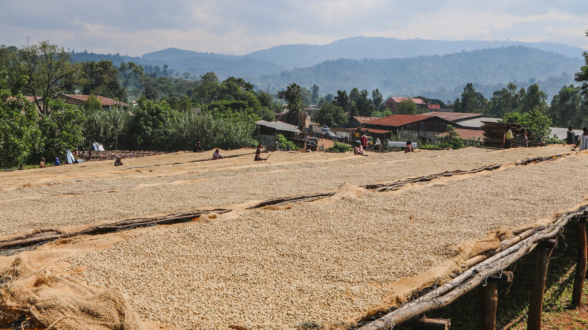 Ethiopian Sayisa