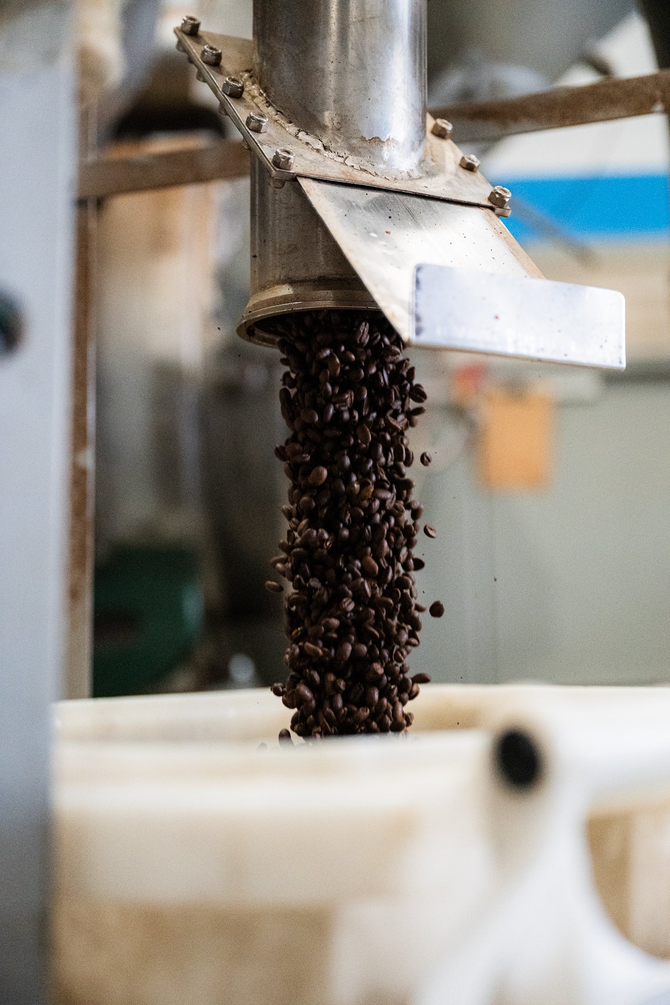 Things To Consider Before Choosing Coffee Beans Wholesale Suppliers