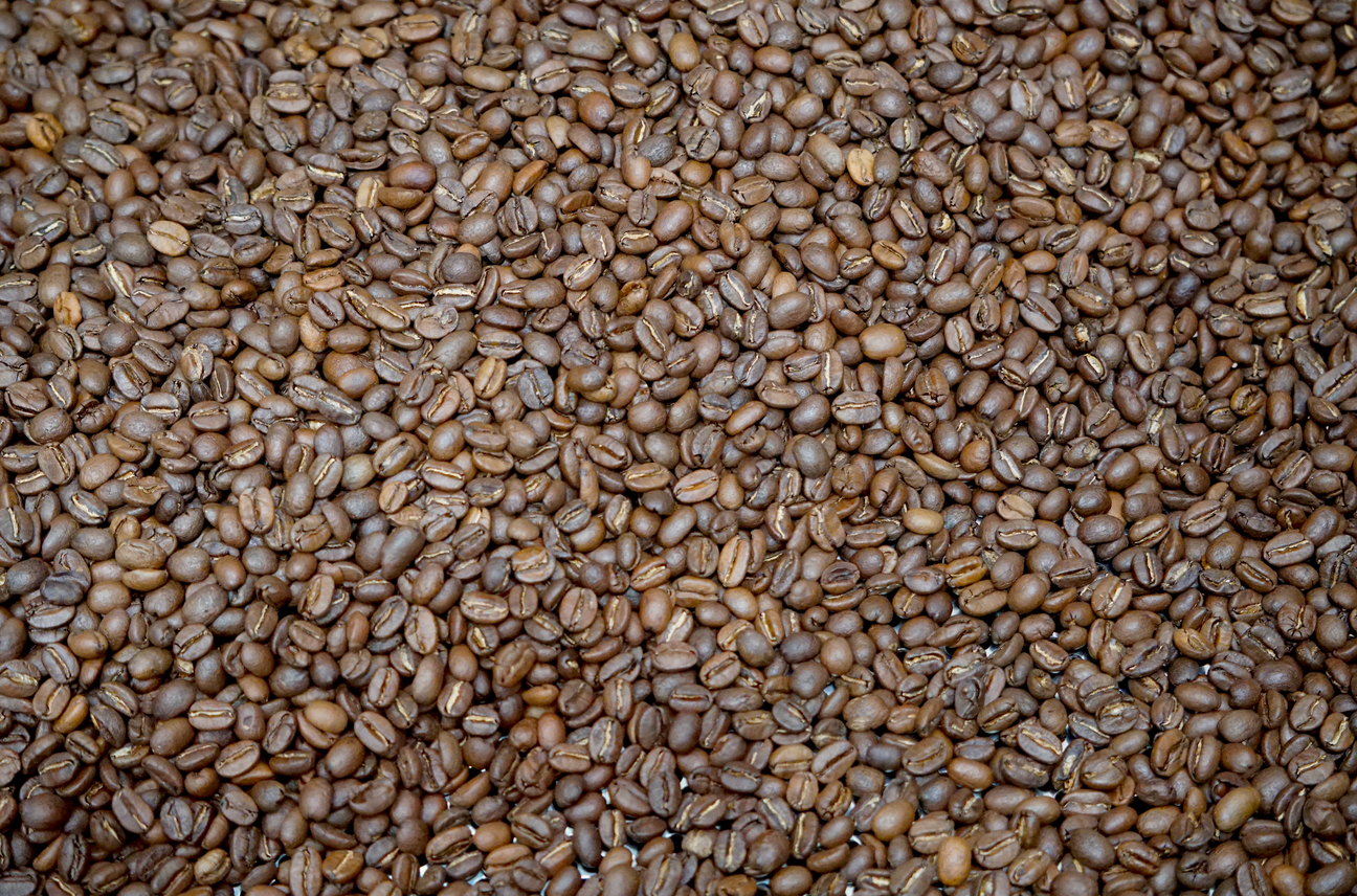 What Is Specialty Coffee Melbourne and What Makes It So Special?