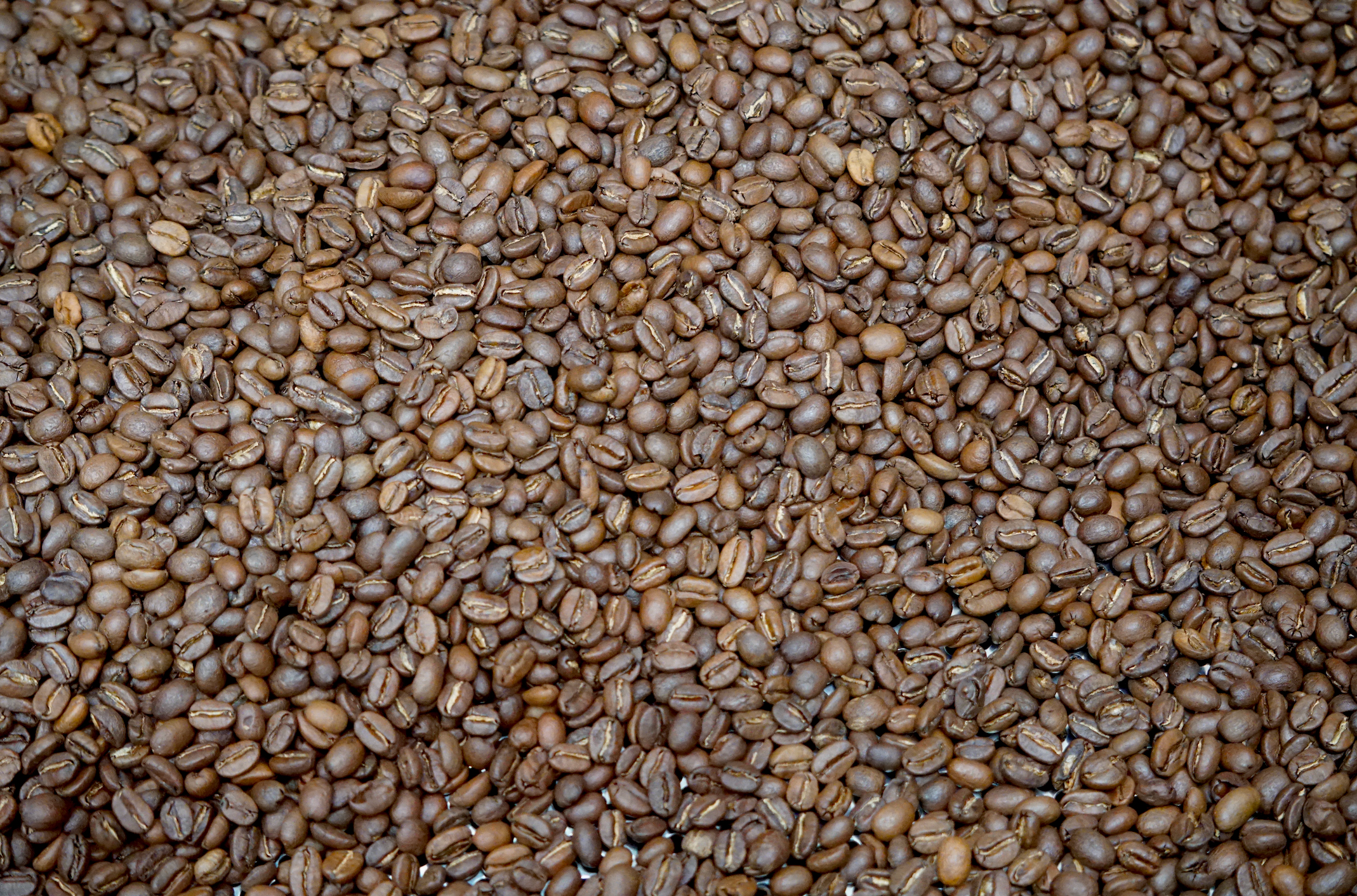 What Is Specialty Coffee Melbourne and What Makes It So Special?