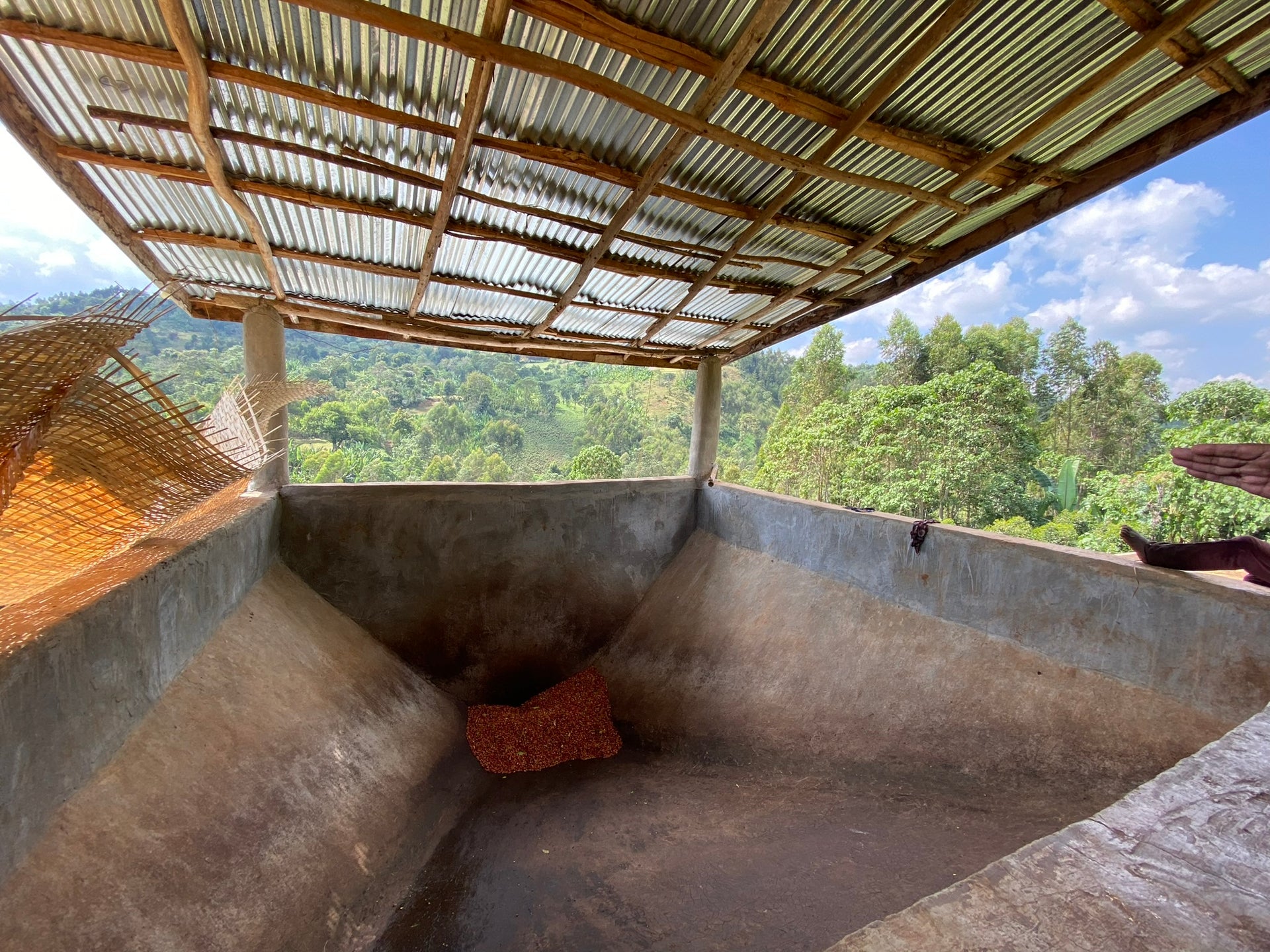 Ethiopia Guji Hambela GR1 – Wine Process