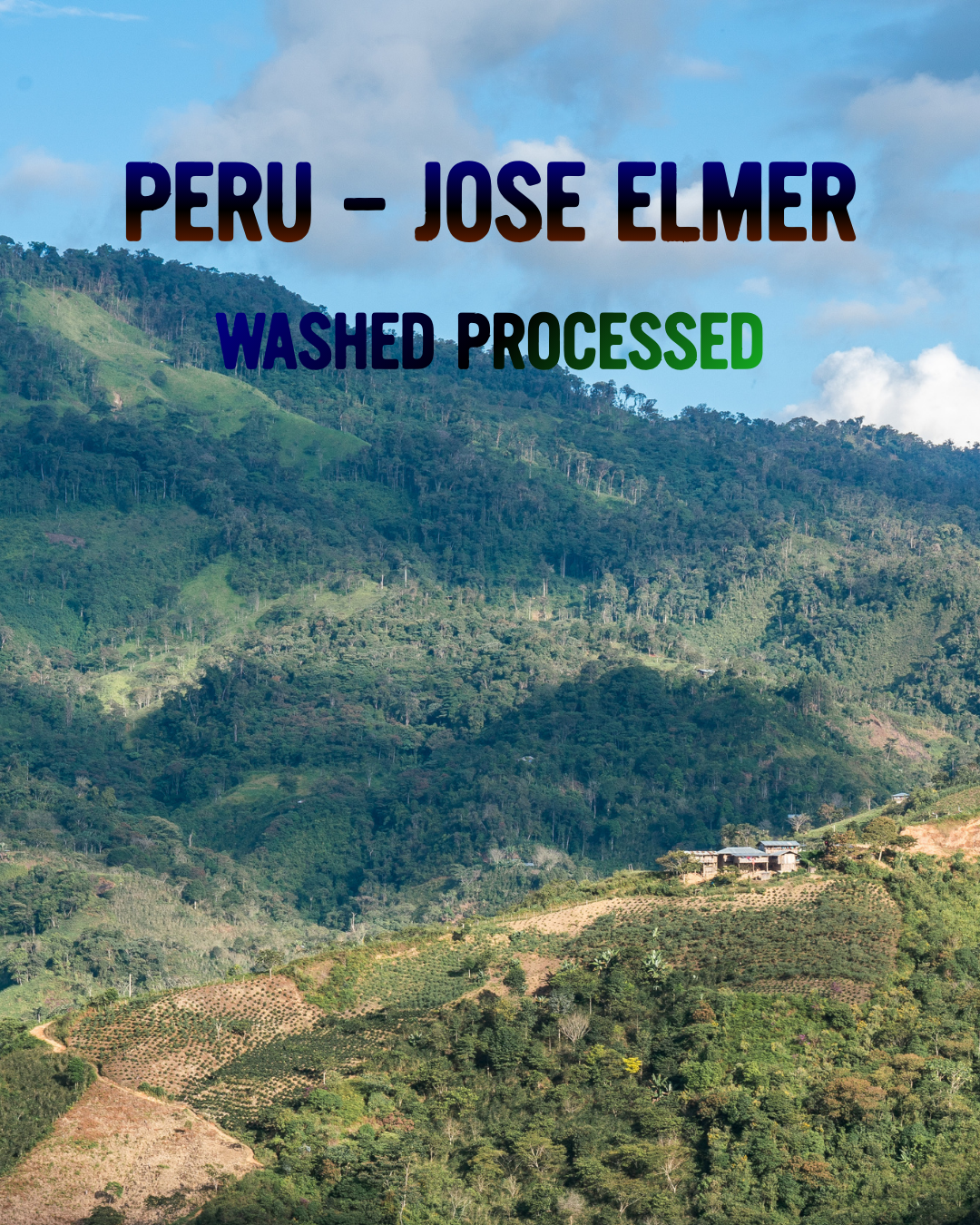 Peru - José Elmer