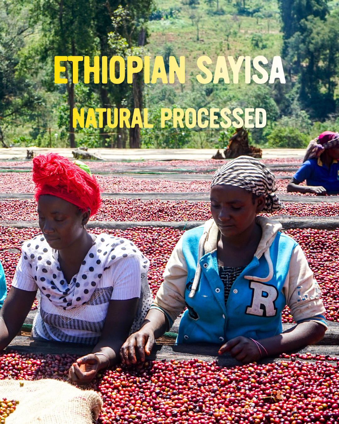 Ethiopian Sayisa