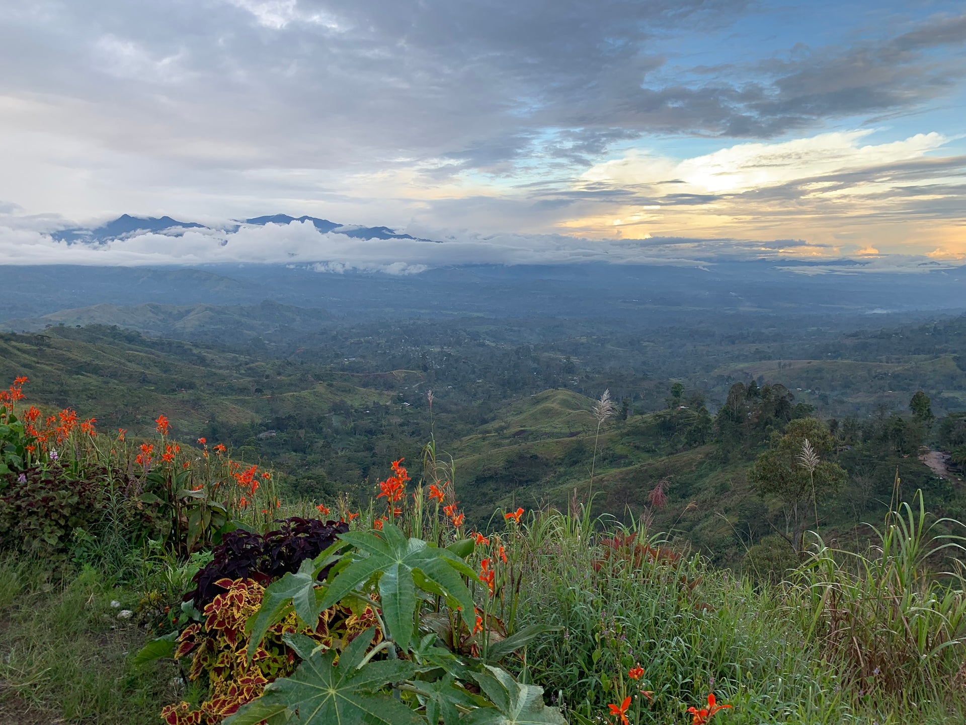 Timor Maubisse